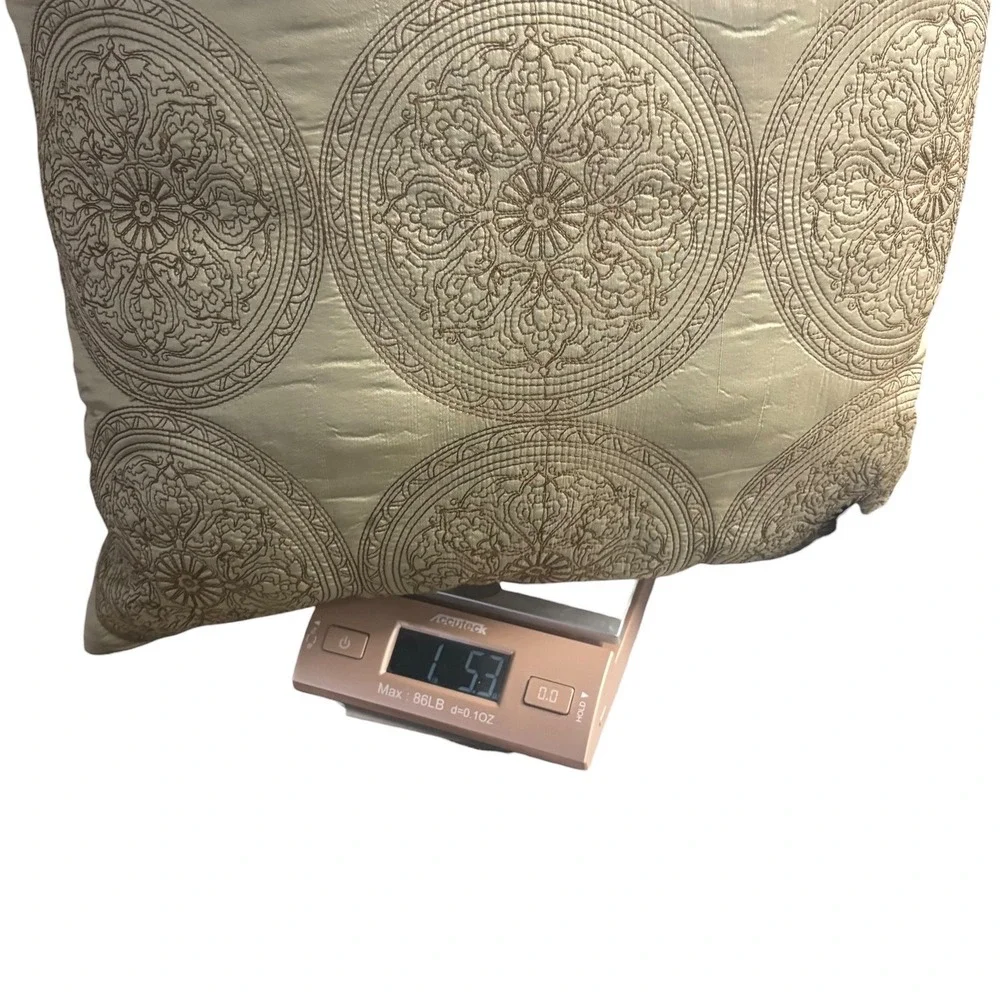 Champagne Gold Embroidered Medallion Silk Throw Pillow with Feather Insert 17x17